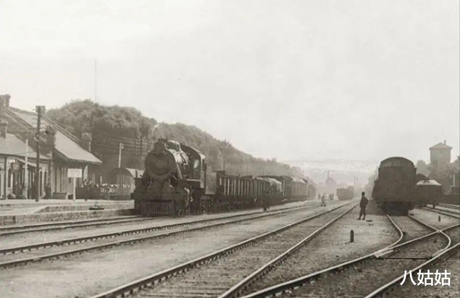 蒋雯丽|与顾长卫结婚多年，却屡遭背叛，蒋雯丽的报复手段堪称教科书