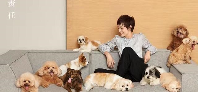 当家主母|猫不是毒死是电死！《当家主母》已经报案：网友不买账