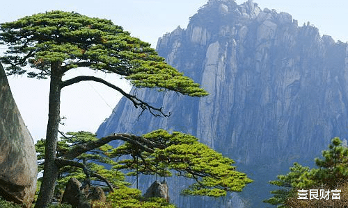 壹艮财富 亏损4600万之后，黄山景区迎来好消息，车票售罄、酒店预定量上涨