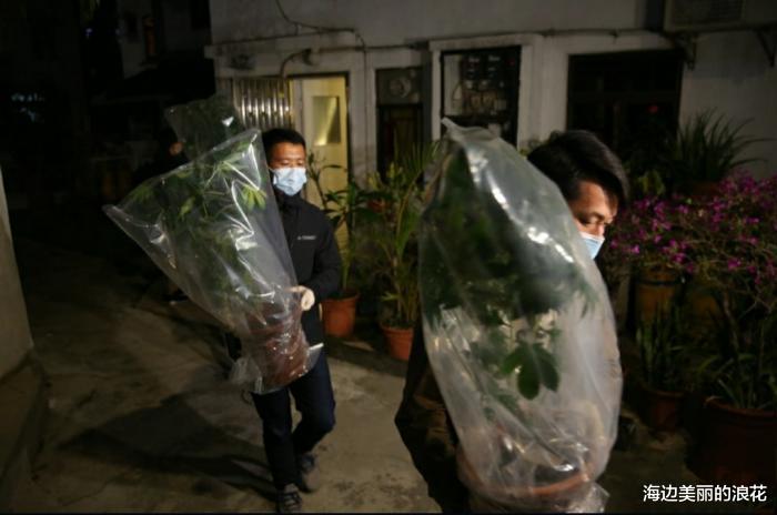 章子怡|81岁老戏骨出事，家里搜出大量毒品，生产销售一条龙