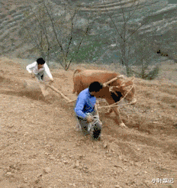 小叶娱记 “出差住酒店的时候碰上有人塞卡片，捡起来一看，白高兴一场”