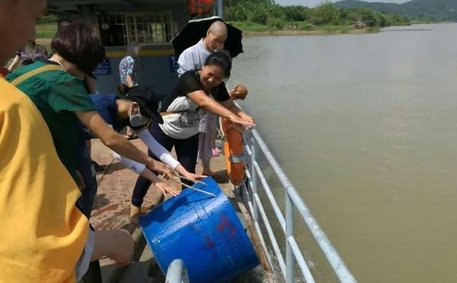 广东省|广东钓鱼人，东江钓起罕见鲽鱼，当地网友：东江里啥钓不到