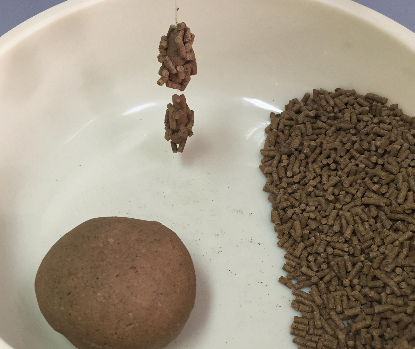 案件通报|黑坑钓鱼上不了岸,是饵料不行?高手一语道破!——盛世三渔