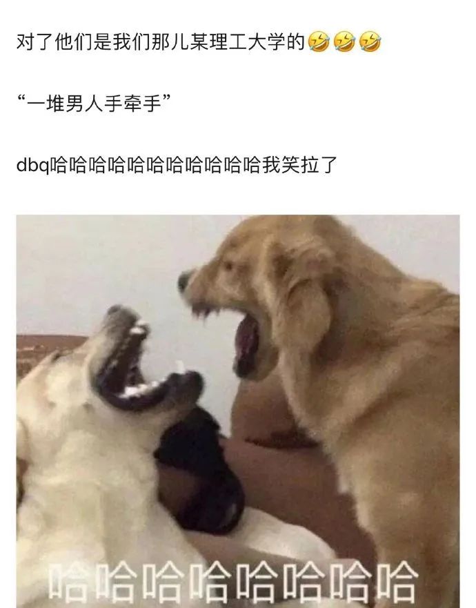 珊宝来了 美女内涵动图：“理工学院交际舞课现状，我觉得这应该是真的！”哈哈哈哈哈