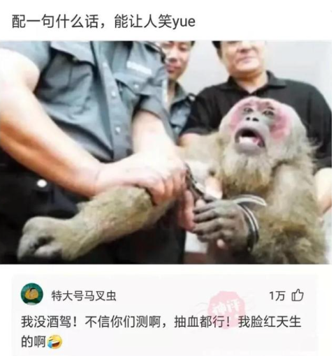 诈骗320多万,男子谎称可以趁阎王出门修改生死簿,每次收6万