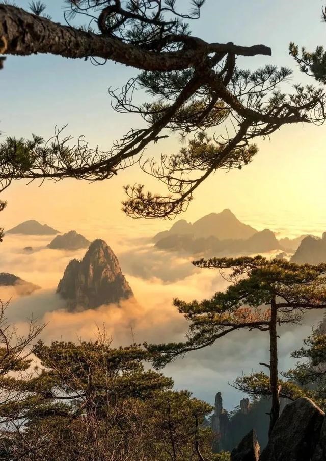 日月潭 日月潭底垃圾成堆,惨不忍睹!原来语文课本中的美景都是骗人的?