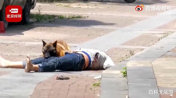百科无底洞 喝醉跑去招惹大狗...男子遭狗疯狂撕咬 倒地「不动」差点丧命!