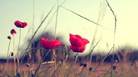 取陌生为名|成年人该懂的高质量说说句子, 简短洒脱的心情语录