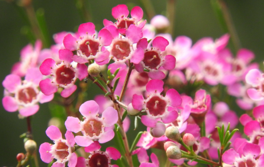 生肖|6月下旬，走出困境，旧情回暖，3大生肖复合重回甜蜜，破镜重圆