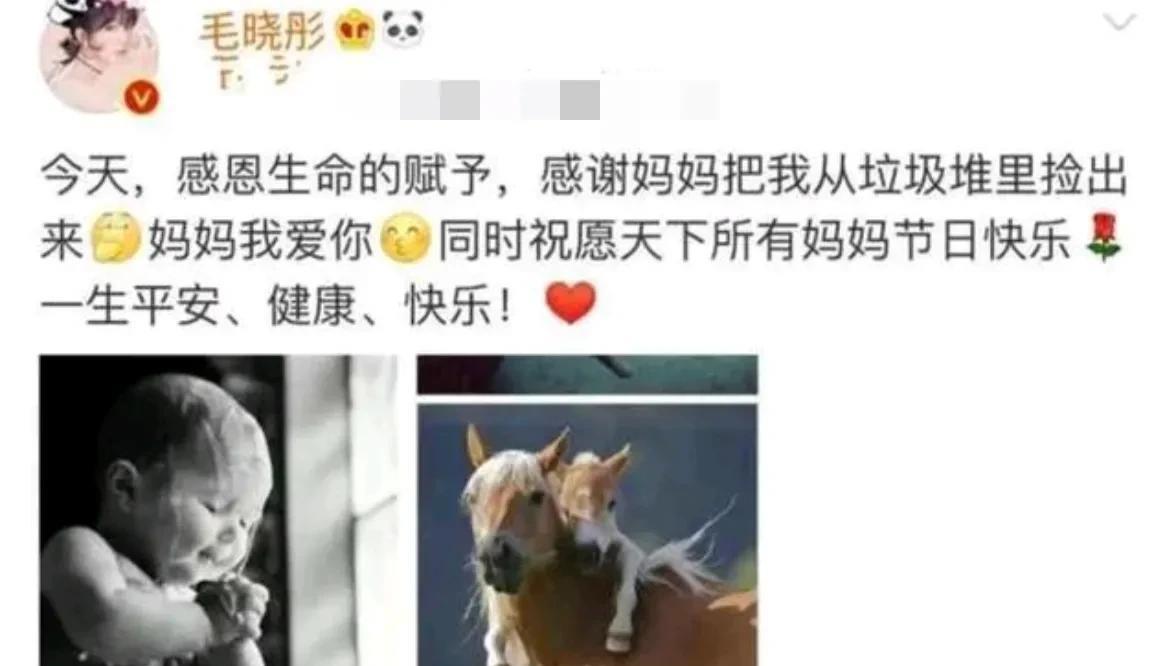 井柏然|幼年被抛弃的7位明星:井柏然靠老人捡废品养大, 舒畅10岁失去亲人