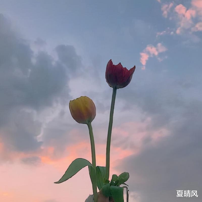 夏晴风 男人不爱你，会有的表现