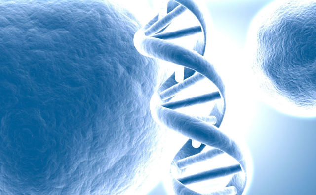 SpaceX|黄种人、黑种人和白种人之间，为什么就没有生殖隔离呢？