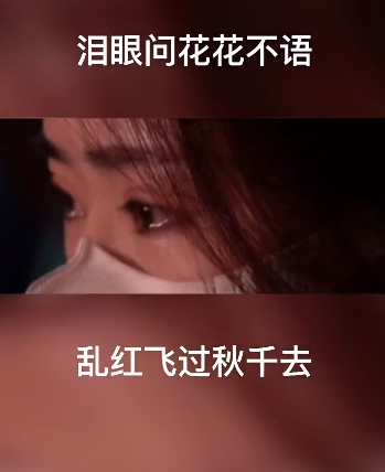 林生斌|疑似小乐发视频痛哭，我们再也回不去了，与林生斌感情出现危机？