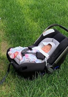 朱珠|宠女狂魔！朱珠老公王昀佳半跪拍女儿，一家三口草坪上玩耍超幸福