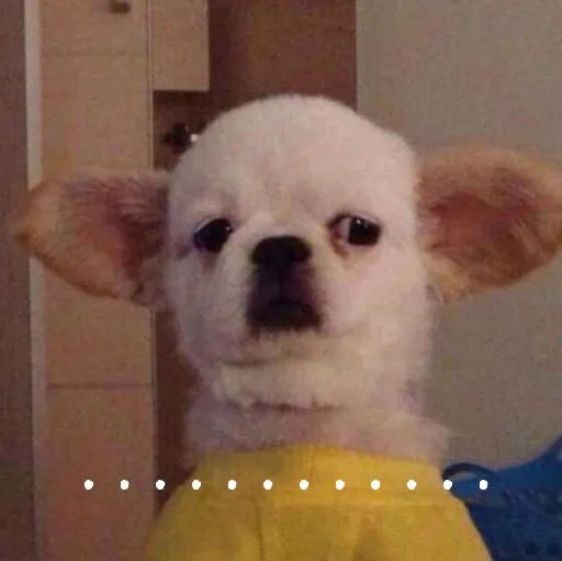 驾驶 注意：这些都是诈骗！一不注意你就上当了