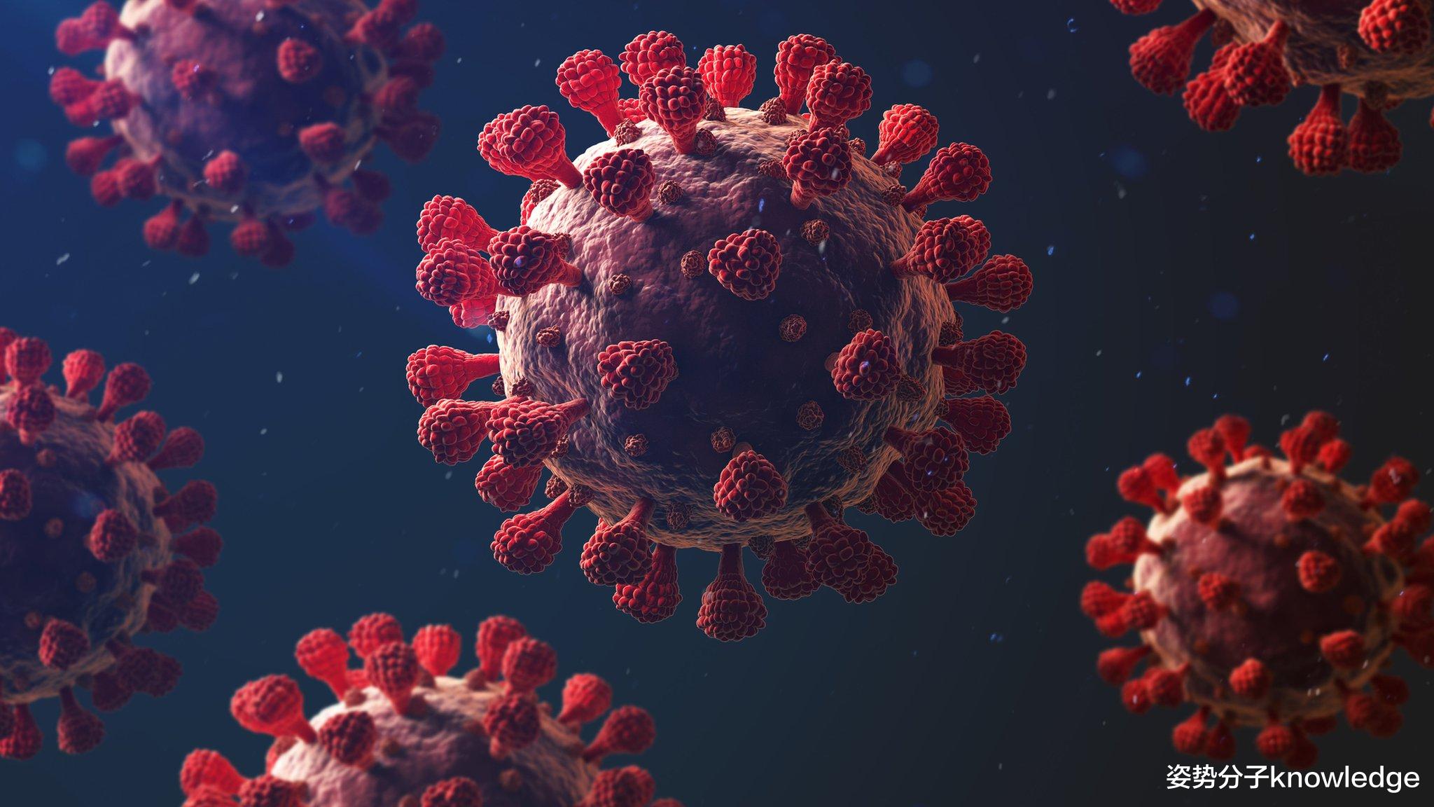 毒液 新冠病毒繁殖率降低75%！科学家以毒攻毒，要用蛇毒治疗新冠