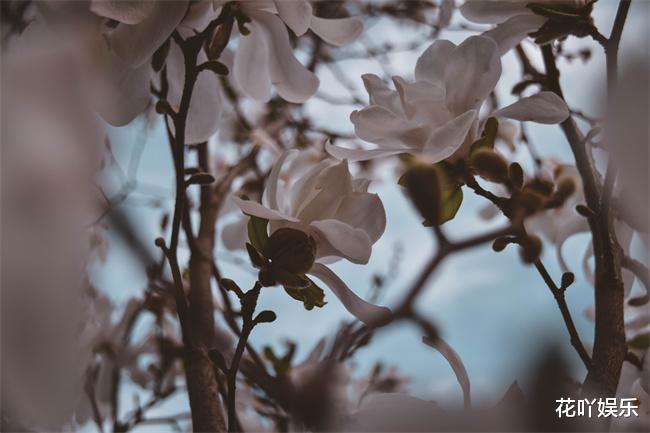 |这些月份出世的人，不认输不妥协，靠自己拼得成就