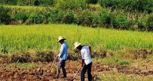 |为啥很多人开始回农村建房？城里高楼大厦不好？一切都在悄然发生