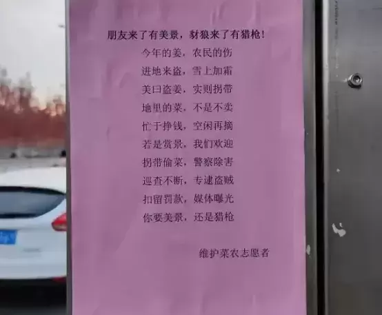 河北老人“组团偷菜”引发全网众怒:你为老不尊的样子,真丑!