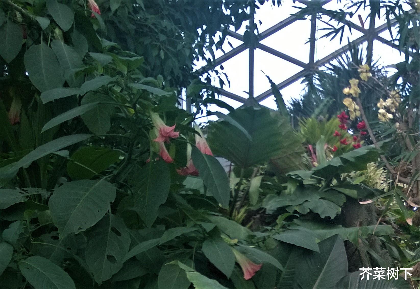 私募基金|工作主动，难道也不好？