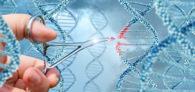 恐龙 恐龙和鸡真的有亲缘关系？科学家让鸡长出恐龙脸，伦理学家担忧了