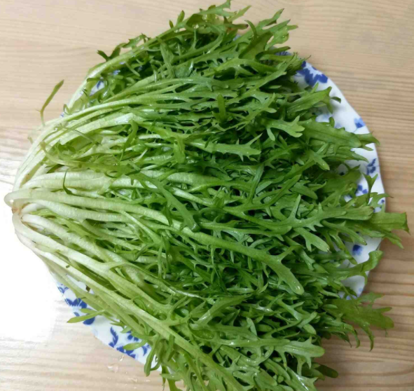消炎药|它是天然“消炎药”，排湿气，消炎症，夏天要多吃，多贵都别错过