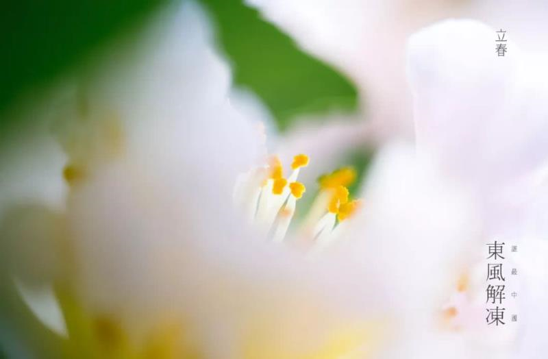 汝州广播电视台 今日立春：愿我们，不负春光，不负自己