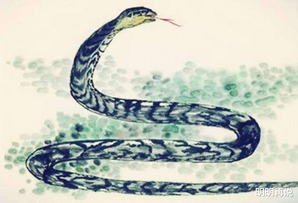 明明再说 属蛇人：四月有“声泪俱下”的大事件，大师算的准得离谱！