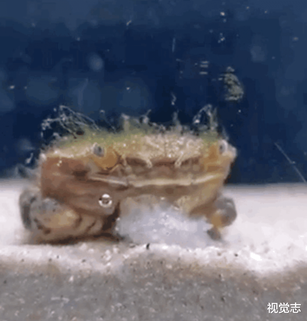 视觉志 一个网红，决定向死而生