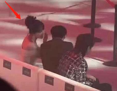 杨紫|杨紫张艺兴恋情添锤？节目中公然穿情侣睡衣同框，亲密互动不避嫌