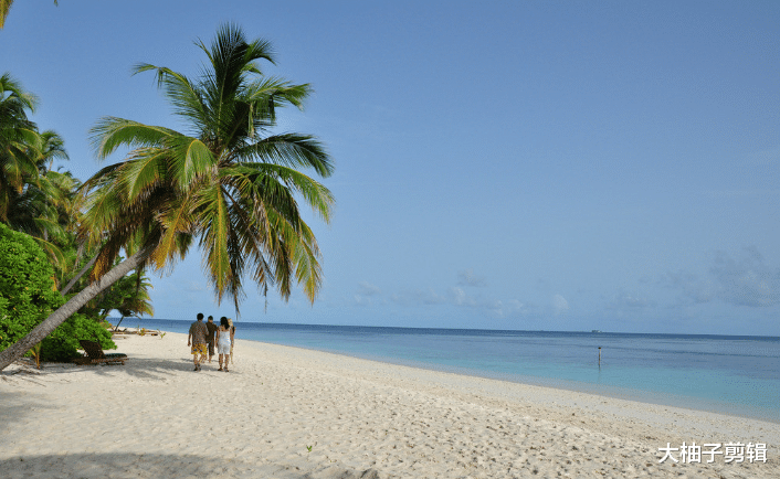 社会养老|我家小孩捕鱼记