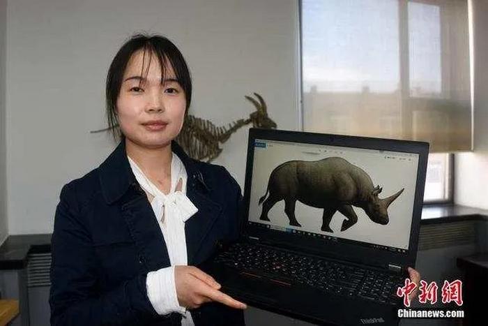 榆林资讯 定边发现700万年前真板齿犀化石