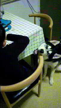 情侣 情侣第一次住酒店，从电视里看到隔壁的“大片”，现场气氛太尴尬！