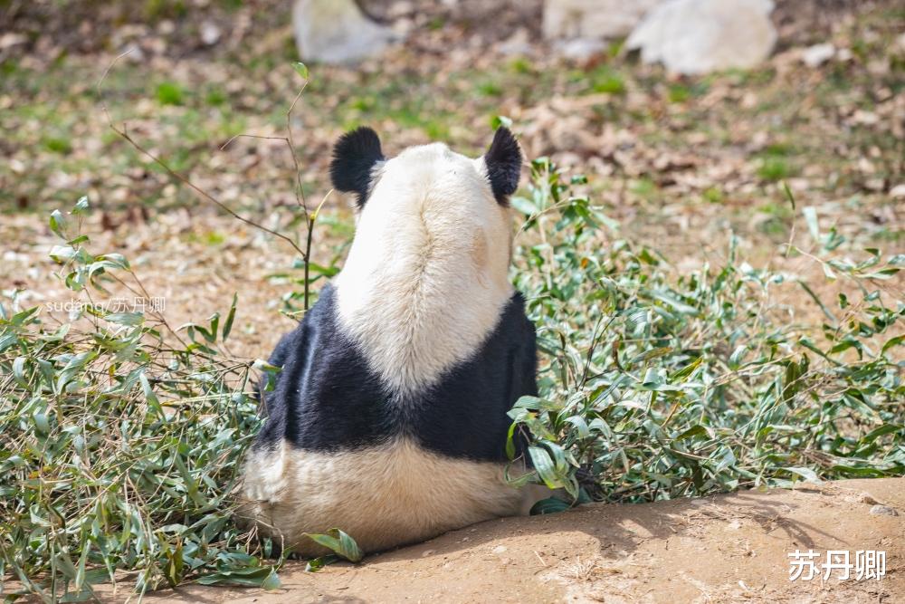 长白山 中国最适合养老的3个小地方：物价便宜节奏慢，山青水秀风光好