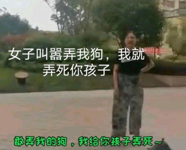 华夏小洋哥|女子遛狗口出狂言: “我的狗比你的孩子值钱”，仔细一查，真有钱