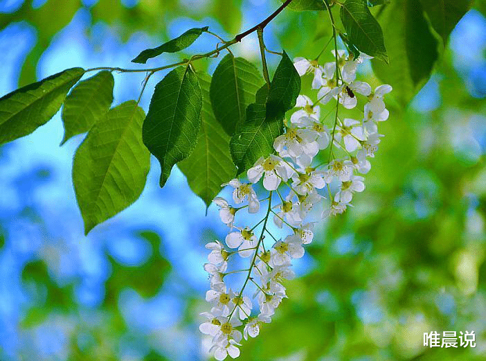 唯晨说|识人:那些不能深交的人,身上有特征