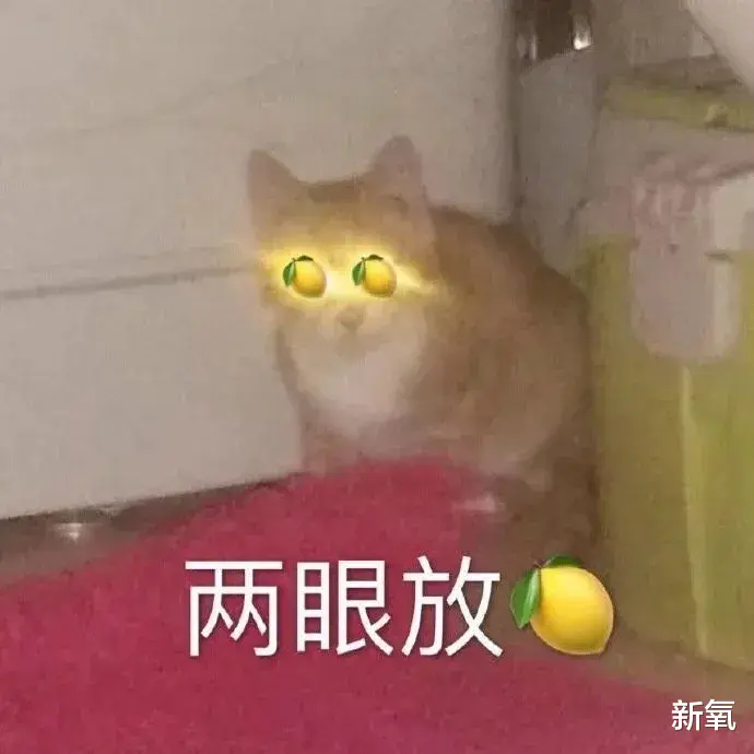 翁帆|等一下！周冬雨被张艺谋选中之前眼睛这么大的吗？