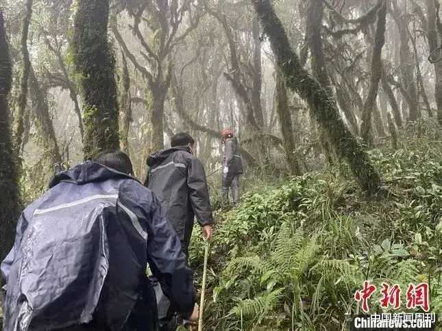 惠安|厘米级定位仪没打开，4名专业地质人员何以葬身哀牢山？