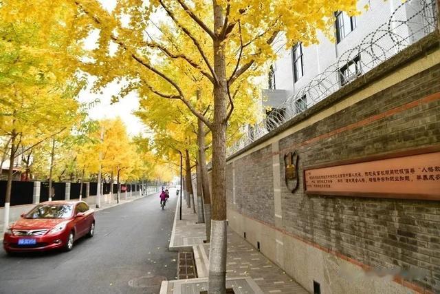 高铁|太棒了！通州燃灯塔旁新添2万平休闲广场！还新建口袋公园