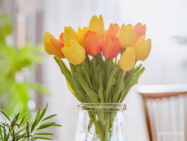 戒烟|人老了,最好的养生,就是这个字