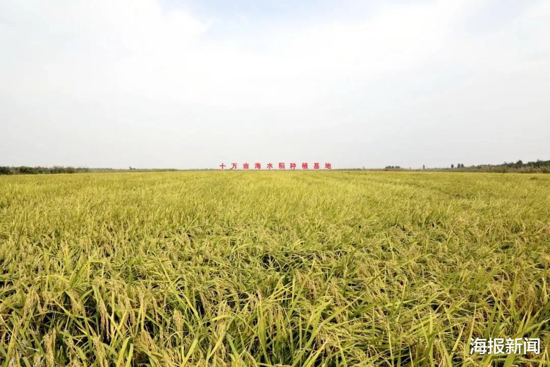 海报新闻 潍坊农业总产值首破千亿 十三五收官交出漂亮答卷