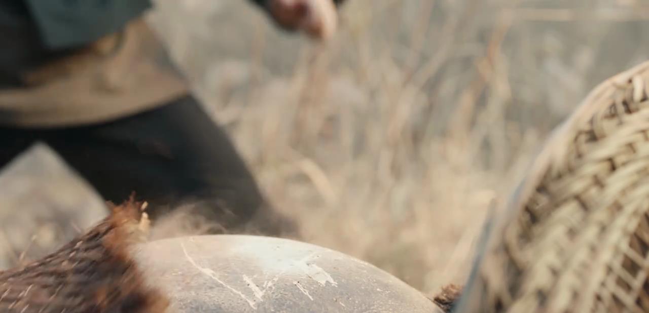 白雪在燃烧|看了1集《刘墉追案》,我难掩激动,终于有一部像样的古装剧了