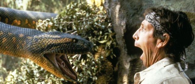 蟒蛇 被蟒蛇缠绕，还有机会存活吗？科学家用生命进行实验，结果如何