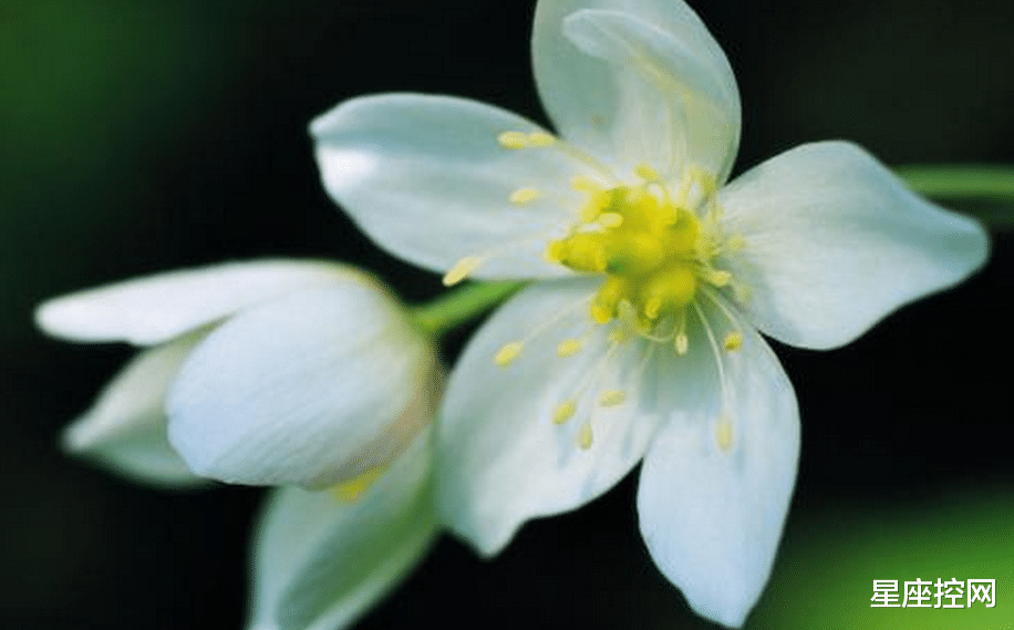 星座控网|生日是啥日子的人,看似好欺负,其实有志气,能升官还能赚钱