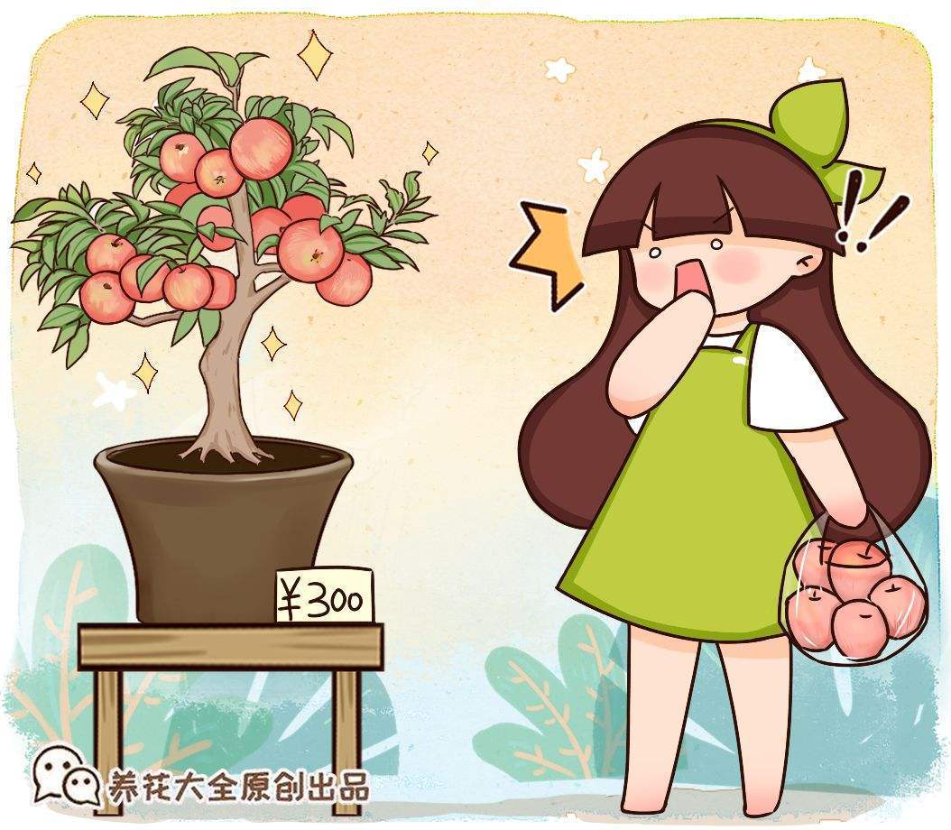 水果|水果太甜含糖多？3种常见水果，好吃还不胖