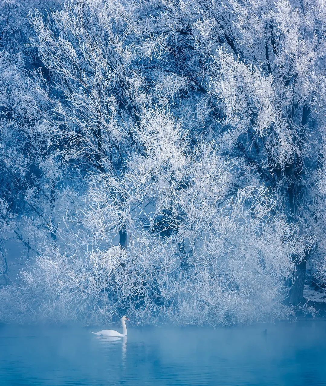 黄果树瀑布 《国家地理》评选中国一生必去的50个地方，我去过26个，你呢？