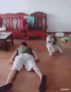 蔬菜|为什么柳树槐树可以成精，水果蔬菜就不能成精？网友：上午准备修炼，下午就被卖出去了