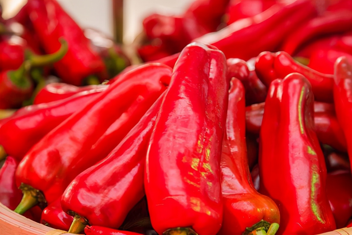 胆囊息肉|胆囊息肉，饮食要注意什么？医生给你讲讲，照着吃不会错