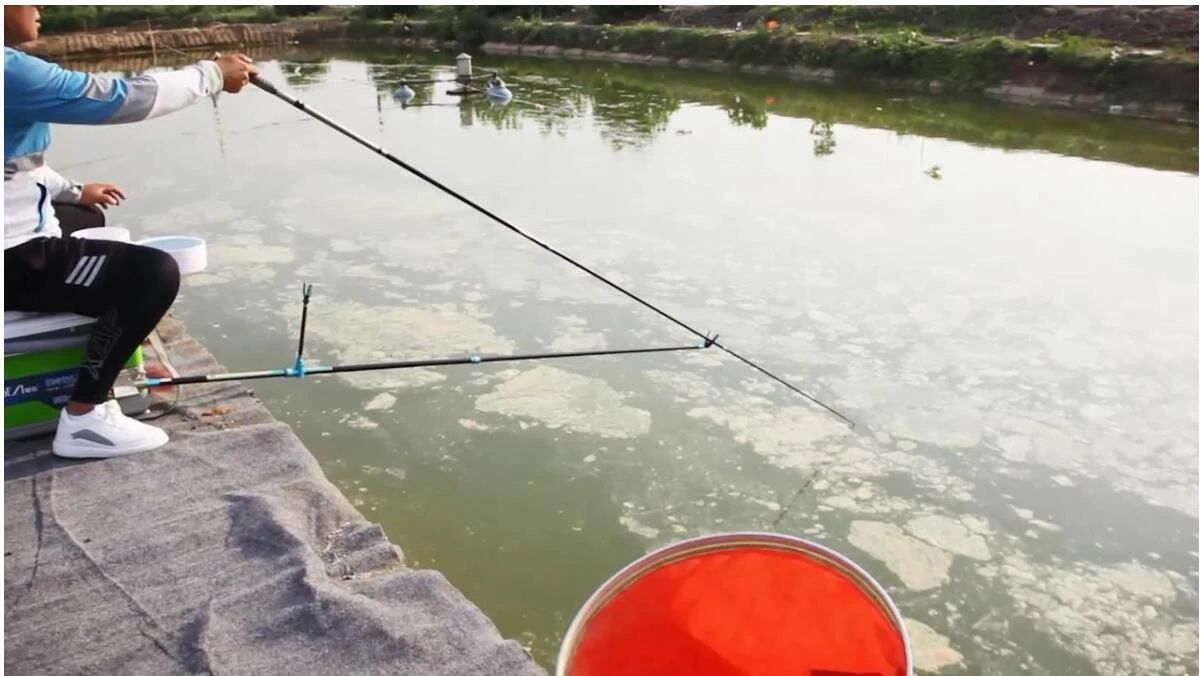 |(给你老婆看有好处)垂钓的好处