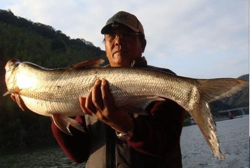 杂志|垂钓界的八位大内高手